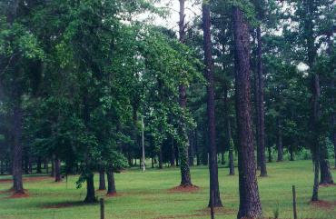 sc4.jpg (23785 bytes)