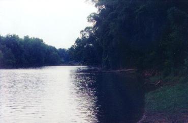 sc8.jpg (12547 bytes)